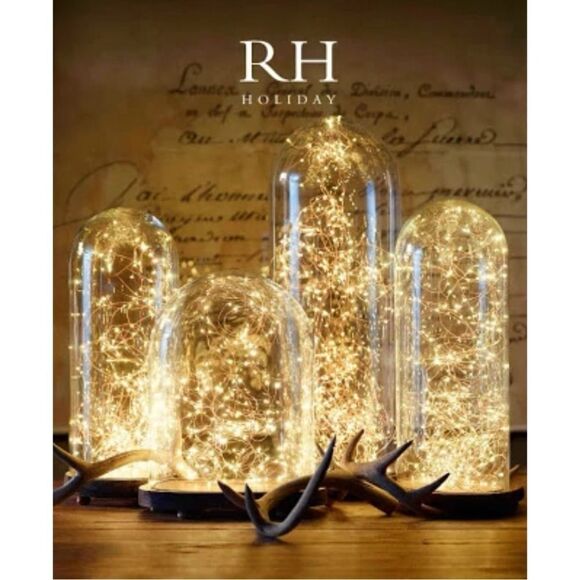 Restoration Hardware 1920S French Glass Cloche - Picture 15 of 16